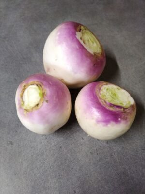 NAVET - 500 g - 2,90/kg - origine Bretagne -