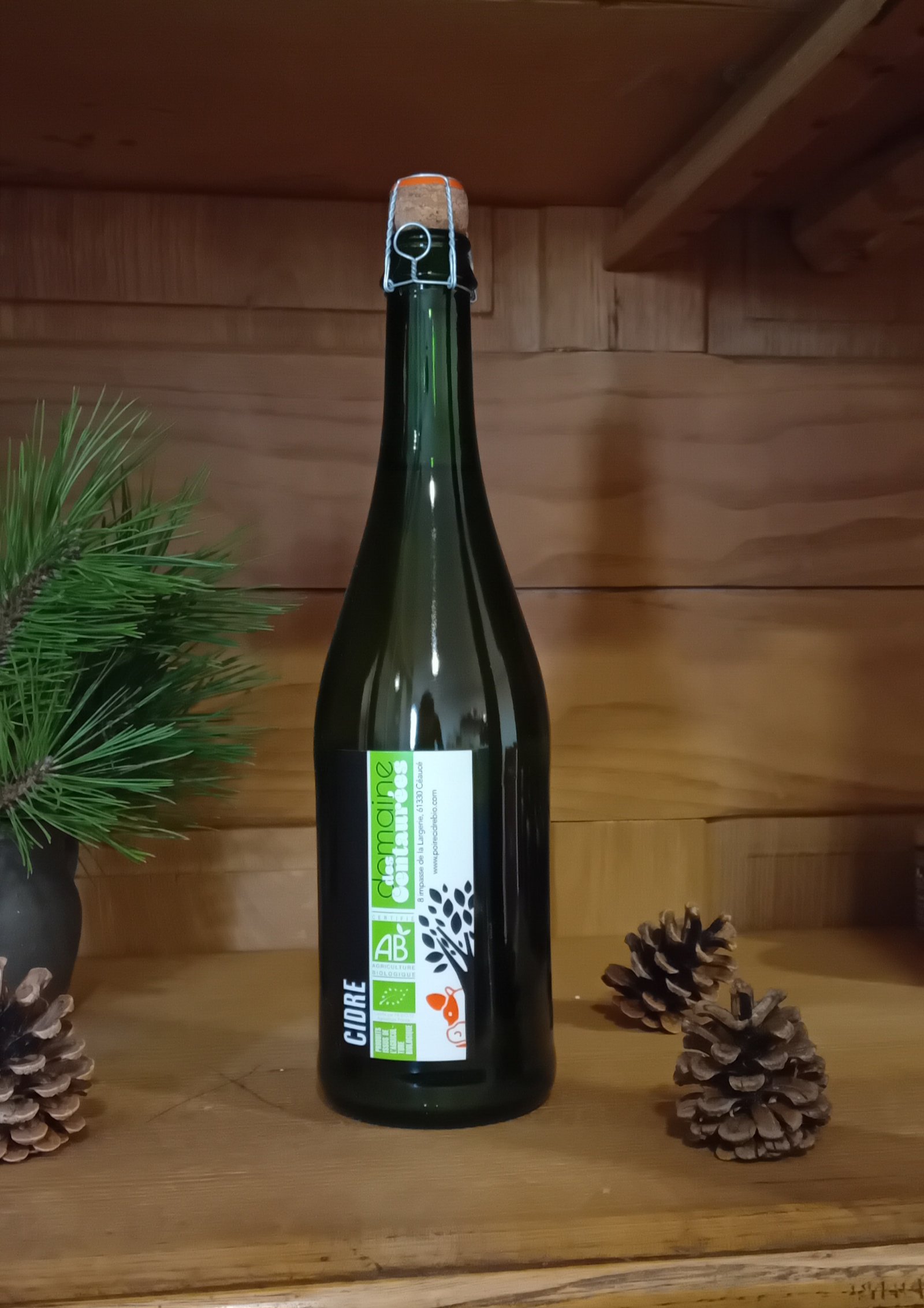 CIDRE - 4° d'alcool - 75 cl -