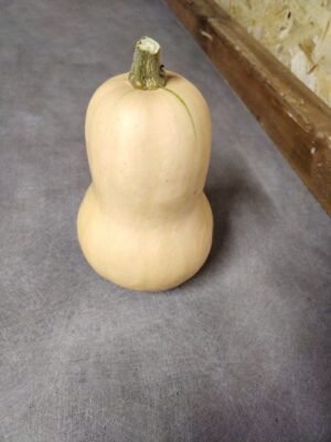 COURGE Butternut - 1 kg - 2,90 €/kg -