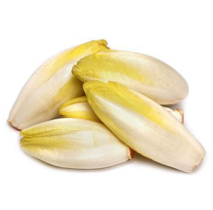 SALADE - Endive - 500 g - 8,50 €/kg - origine Bretagne -